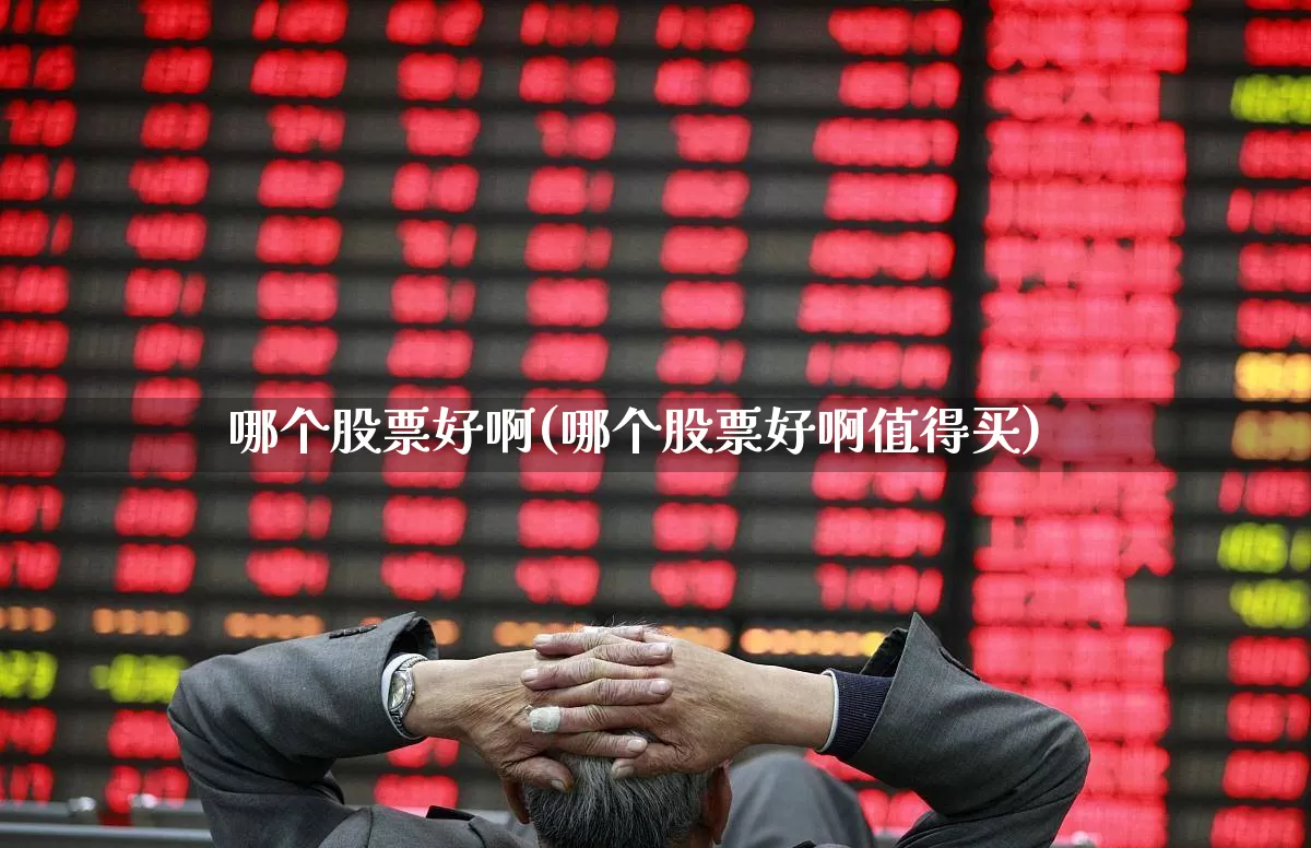 哪个股票好啊(哪个股票好啊值得买)_https://www.gfdzclz.com_创业板_第1张