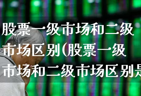 股票一级市场和二级市场区别(股票一级市场和二级市场区别是什么)_https://www.gfdzclz.com_深交所_第1张