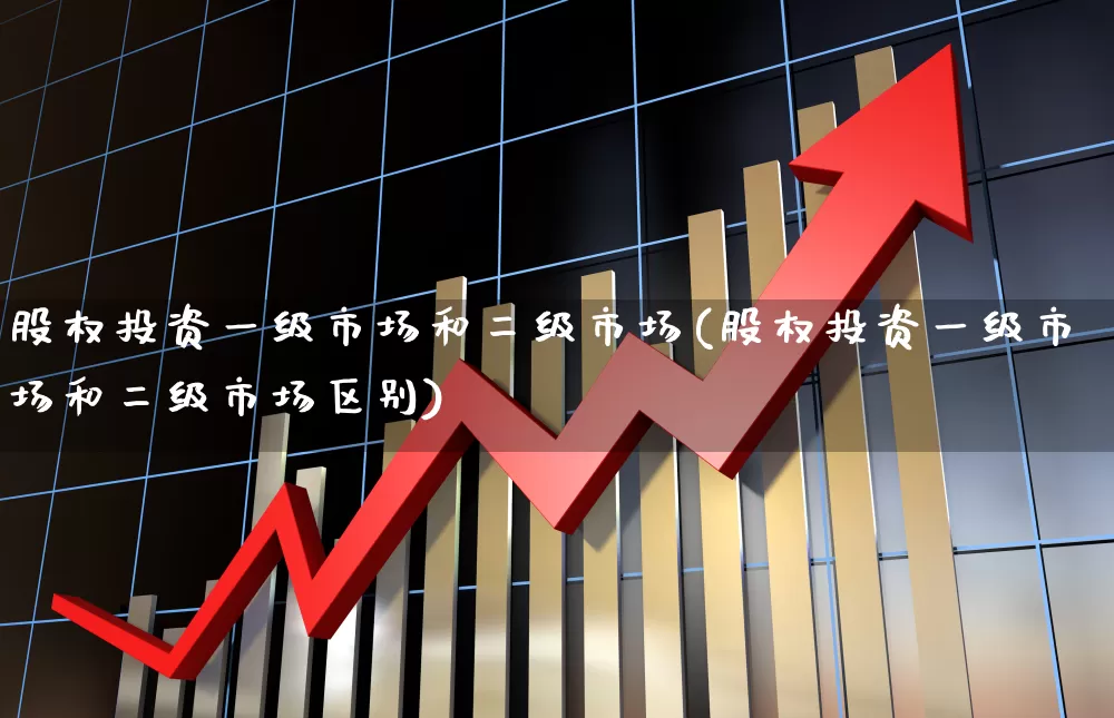 股权投资一级市场和二级市场(股权投资一级市场和二级市场区别)_https://www.gfdzclz.com_科创板_第1张