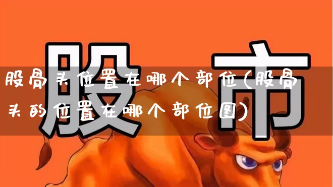 股骨头位置在哪个部位(股骨头的位置在哪个部位图)_https://www.gfdzclz.com_创业板_第1张