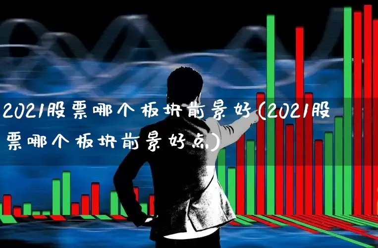 2021股票哪个板块前景好(2021股票哪个板块前景好点)_https://www.gfdzclz.com_北交所_第1张