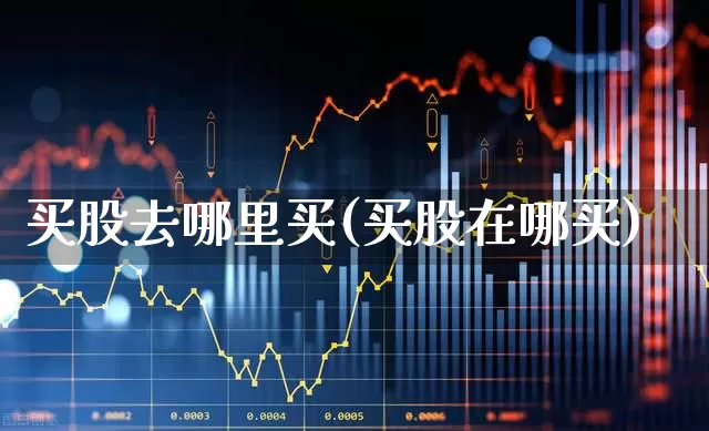买股去哪里买(买股在哪买)_https://www.gfdzclz.com_深交所_第1张