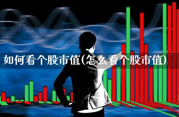 如何看个股市值(怎么看个股市值)_https://www.gfdzclz.com_北交所_第1张
