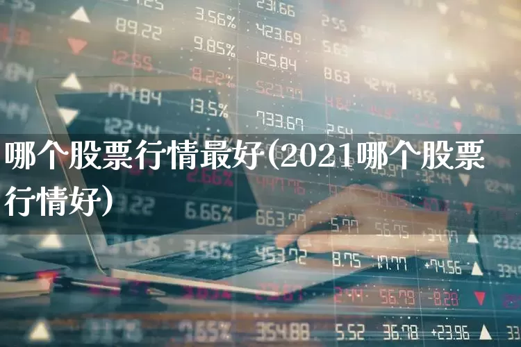 哪个股票行情最好(2021哪个股票行情好)_https://www.gfdzclz.com_科创板_第1张