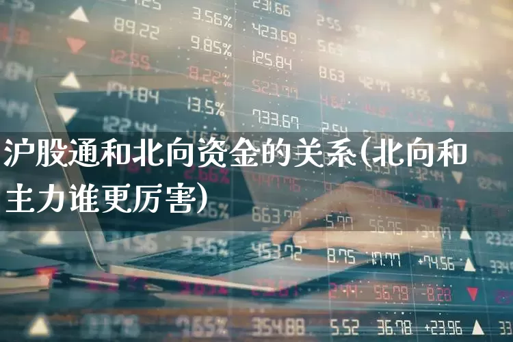沪股通和北向资金的关系(北向和主力谁更厉害)_https://www.gfdzclz.com_深交所_第1张