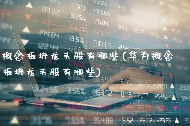 概念板块龙头股有哪些(华为概念板块龙头股有哪些)_https://www.gfdzclz.com_深交所_第1张