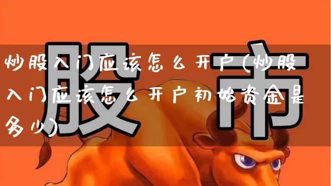 炒股入门应该怎么开户(炒股入门应该怎么开户初始资金是多少)_https://www.gfdzclz.com_科创板_第1张