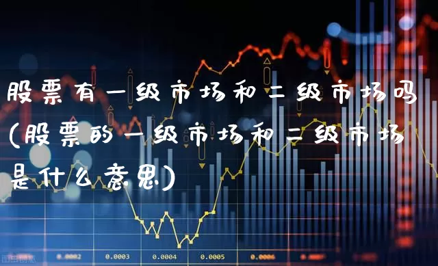 股票有一级市场和二级市场吗(股票的一级市场和二级市场是什么意思)_https://www.gfdzclz.com_北交所_第1张