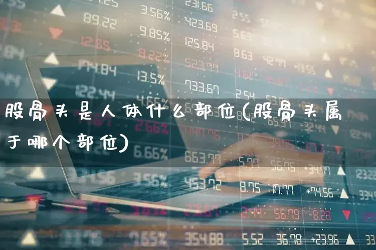 股骨头是人体什么部位(股骨头属于哪个部位)_https://www.gfdzclz.com_北交所_第1张