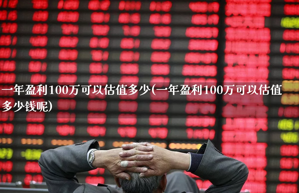 一年盈利100万可以估值多少(一年盈利100万可以估值多少钱呢)_https://www.gfdzclz.com_北交所_第1张