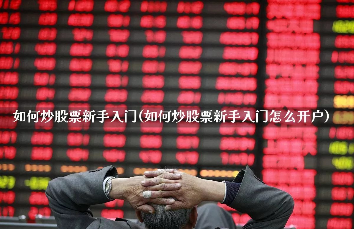 如何炒股票新手入门(如何炒股票新手入门怎么开户)_https://www.gfdzclz.com_科创板_第1张