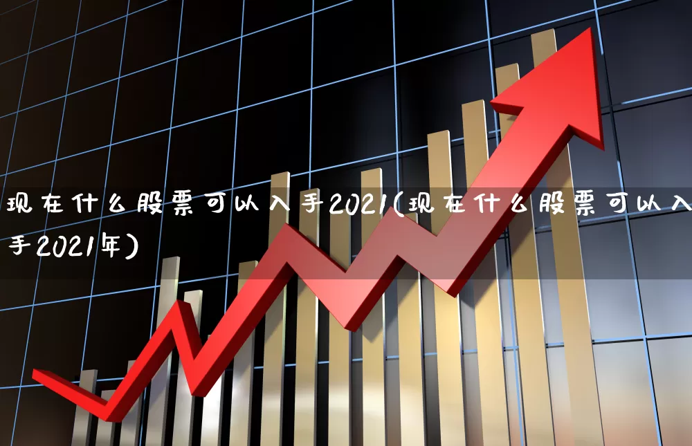 现在什么股票可以入手2021(现在什么股票可以入手2021年)_https://www.gfdzclz.com_科创板_第1张