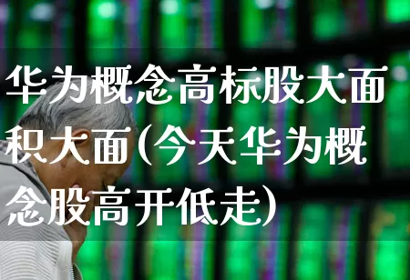 华为概念高标股大面积大面(今天华为概念股高开低走)_https://www.gfdzclz.com_上交所_第1张