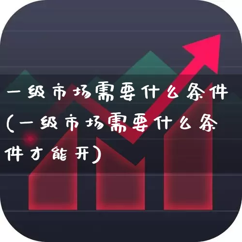 一级市场需要什么条件(一级市场需要什么条件才能开)_https://www.gfdzclz.com_深交所_第1张