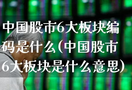 中国股市6大板块编码是什么(中国股市6大板块是什么意思)_https://www.gfdzclz.com_上交所_第1张
