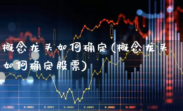 概念龙头如何确定(概念龙头如何确定股票)_https://www.gfdzclz.com_深交所_第1张