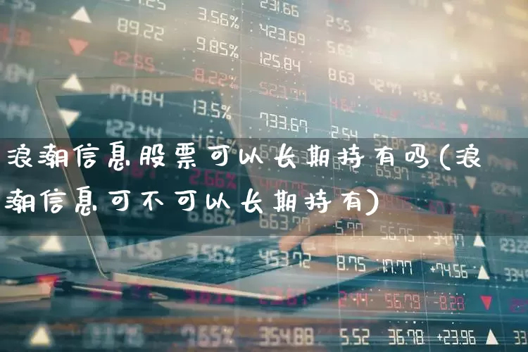 浪潮信息股票可以长期持有吗(浪潮信息可不可以长期持有)_https://www.gfdzclz.com_上交所_第1张