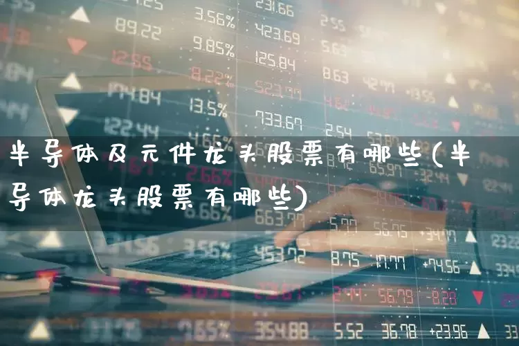 半导体及元件龙头股票有哪些(半导体龙头股票有哪些)_https://www.gfdzclz.com_科创板_第1张