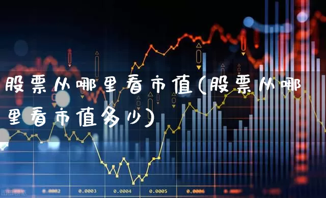 股票从哪里看市值(股票从哪里看市值多少)_https://www.gfdzclz.com_深交所_第1张