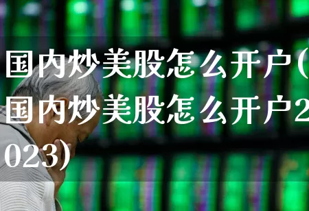 国内炒美股怎么开户(国内炒美股怎么开户2023)_https://www.gfdzclz.com_上交所_第1张