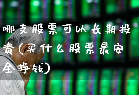 哪支股票可以长期投资(买什么股票最安全挣钱)_https://www.gfdzclz.com_深交所_第1张