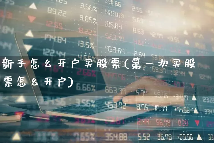 新手怎么开户买股票(第一次买股票怎么开户)_https://www.gfdzclz.com_上交所_第1张