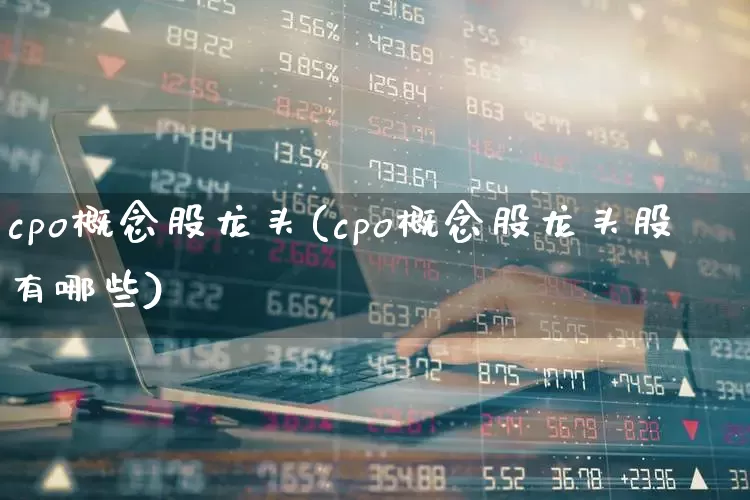 cpo概念股龙头(cpo概念股龙头股有哪些)_https://www.gfdzclz.com_上交所_第1张