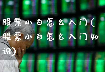 股票小白怎么入门(股票小白怎么入门知识)_https://www.gfdzclz.com_北交所_第1张