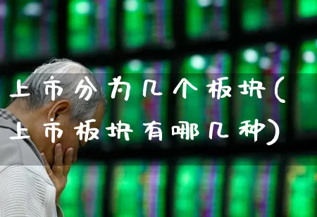 上市分为几个板块(上市板块有哪几种)_https://www.gfdzclz.com_上交所_第1张