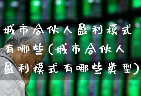 城市合伙人盈利模式有哪些(城市合伙人盈利模式有哪些类型)_https://www.gfdzclz.com_北交所_第1张