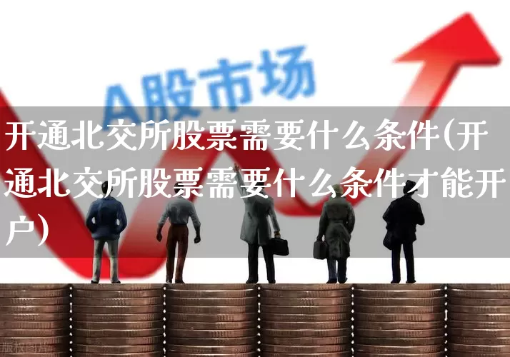 开通北交所股票需要什么条件(开通北交所股票需要什么条件才能开户)_https://www.gfdzclz.com_科创板_第1张