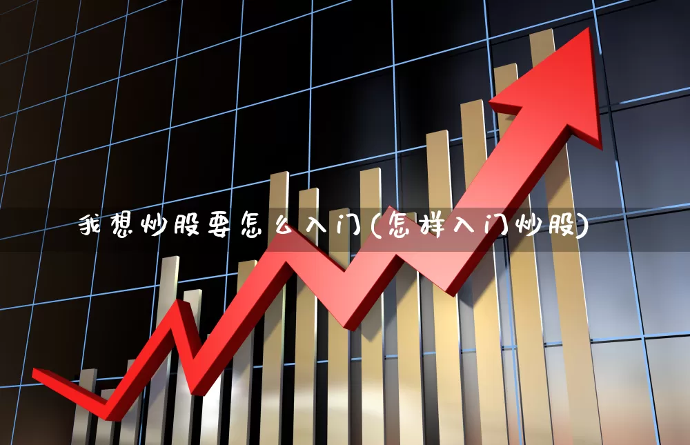 我想炒股要怎么入门(怎样入门炒股)_https://www.gfdzclz.com_创业板_第1张