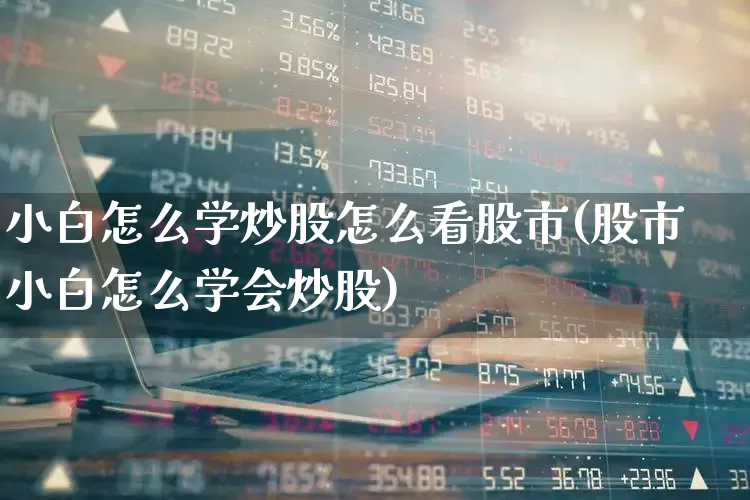 小白怎么学炒股怎么看股市(股市小白怎么学会炒股)_https://www.gfdzclz.com_科创板_第1张