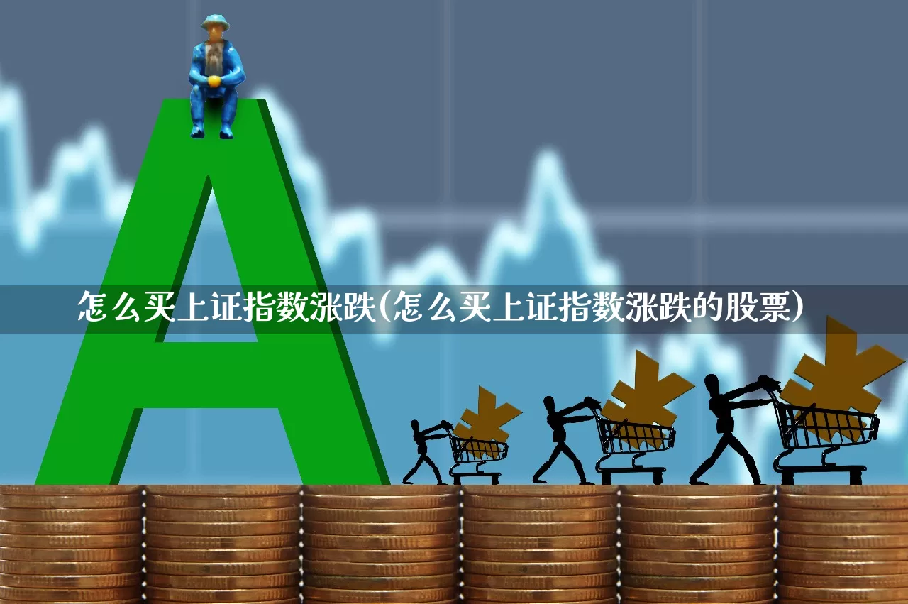 怎么买上证指数涨跌(怎么买上证指数涨跌的股票)_https://www.gfdzclz.com_上交所_第1张