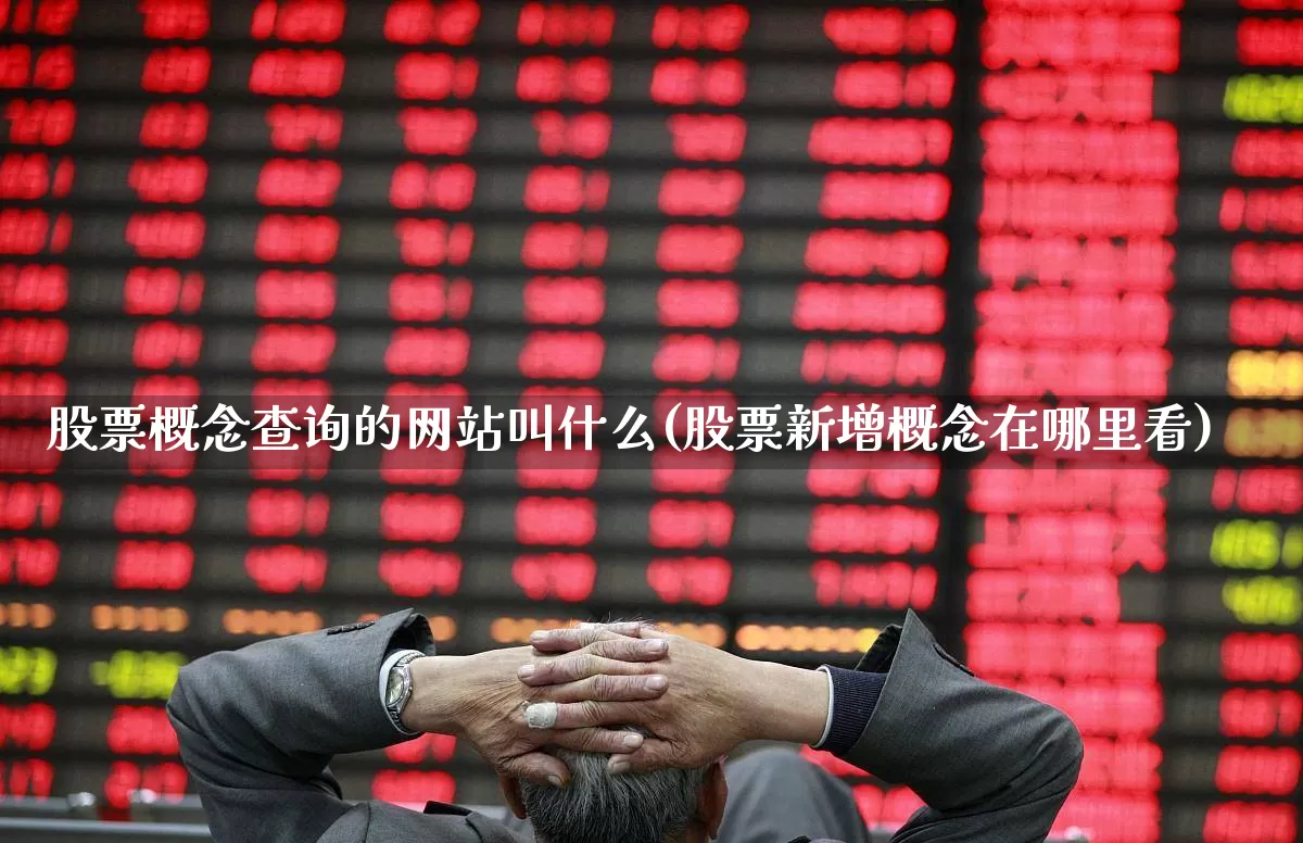 股票概念查询的网站叫什么(股票新增概念在哪里看)_https://www.gfdzclz.com_上交所_第1张