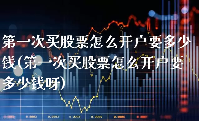 第一次买股票怎么开户要多少钱(第一次买股票怎么开户要多少钱呀)_https://www.gfdzclz.com_北交所_第1张