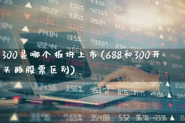 300是哪个板块上市(688和300开头的股票区别)_https://www.gfdzclz.com_深交所_第1张