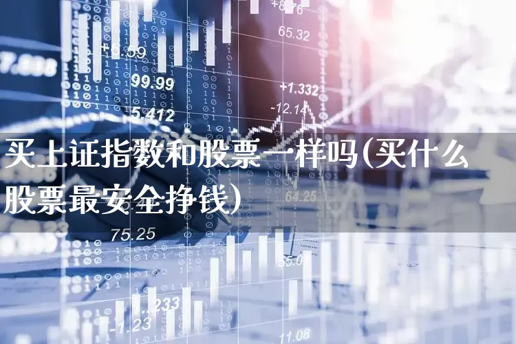 买上证指数和股票一样吗(买什么股票最安全挣钱)_https://www.gfdzclz.com_上交所_第1张
