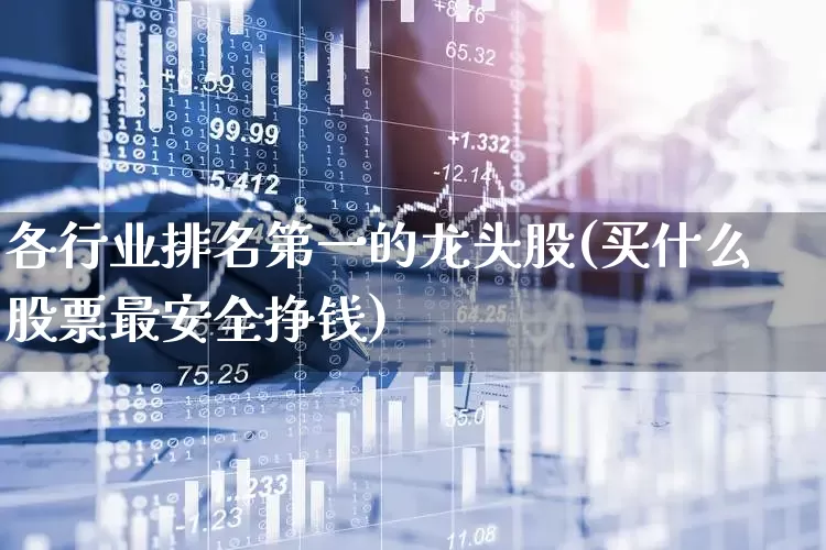 各行业排名第一的龙头股(买什么股票最安全挣钱)_https://www.gfdzclz.com_深交所_第1张