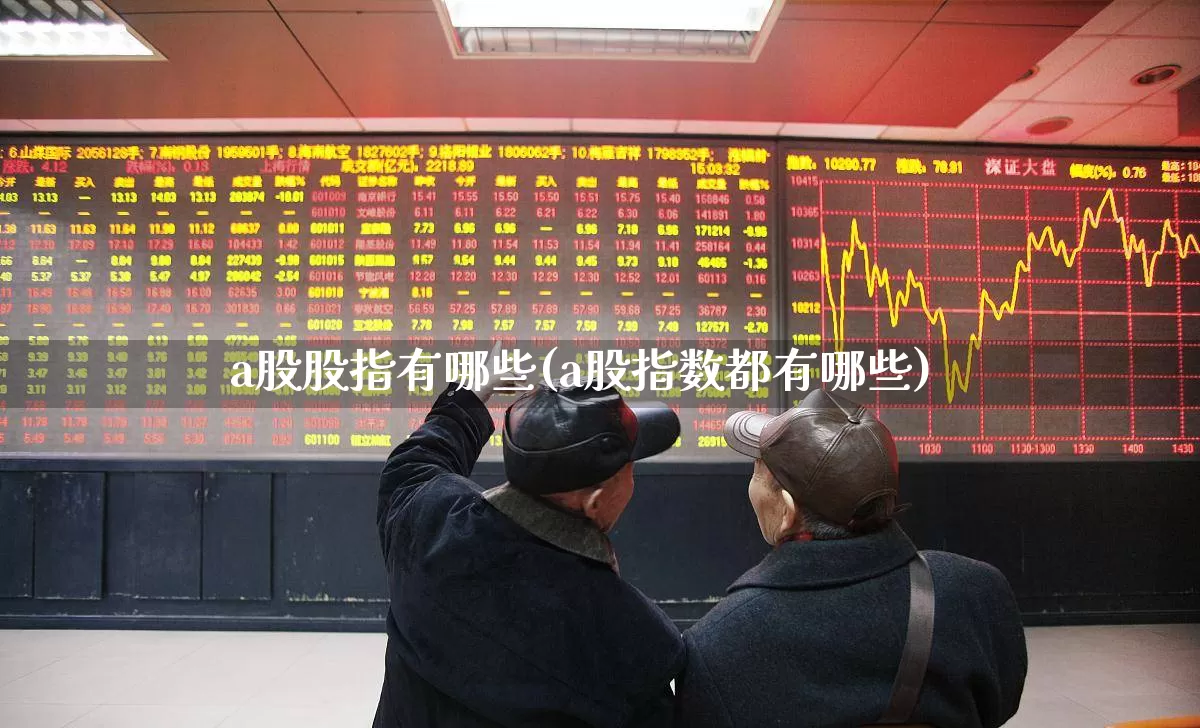 a股股指有哪些(a股指数都有哪些)_https://www.gfdzclz.com_上交所_第1张