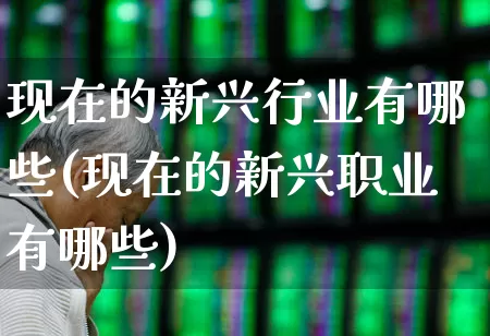 现在的新兴行业有哪些(现在的新兴职业有哪些)_https://www.gfdzclz.com_科创板_第1张