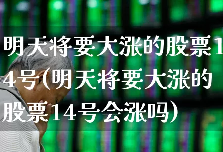 明天将要大涨的股票14号(明天将要大涨的股票14号会涨吗)_https://www.gfdzclz.com_深交所_第1张