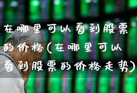 在哪里可以看到股票的价格(在哪里可以看到股票的价格走势)_https://www.gfdzclz.com_深交所_第1张