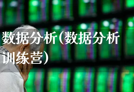 数据分析(数据分析训练营)_https://www.gfdzclz.com_深交所_第1张