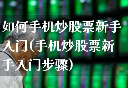 如何手机炒股票新手入门(手机炒股票新手入门步骤)_https://www.gfdzclz.com_上交所_第1张