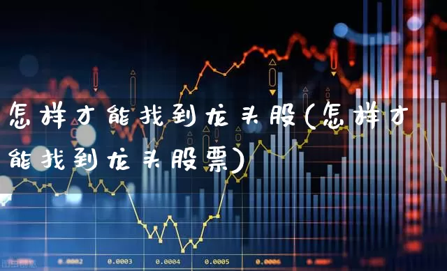 怎样才能找到龙头股(怎样才能找到龙头股票)_https://www.gfdzclz.com_深交所_第1张