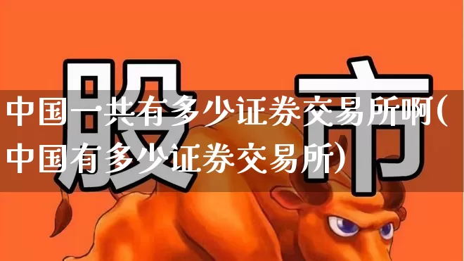 中国一共有多少证券交易所啊(中国有多少证券交易所)_https://www.gfdzclz.com_科创板_第1张