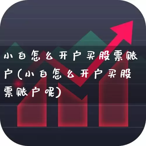 小白怎么开户买股票账户(小白怎么开户买股票账户呢)_https://www.gfdzclz.com_上交所_第1张