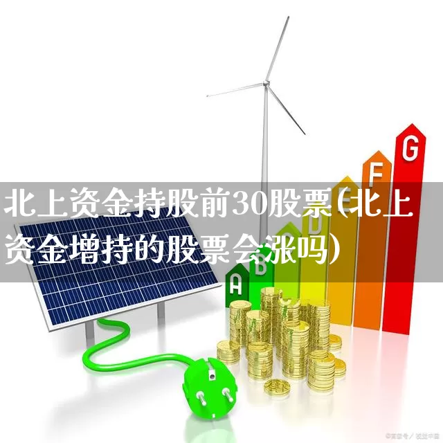 北上资金持股前30股票(北上资金增持的股票会涨吗)_https://www.gfdzclz.com_北交所_第1张