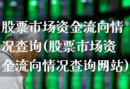 股票市场资金流向情况查询(股票市场资金流向情况查询网站)_https://www.gfdzclz.com_深交所_第1张
